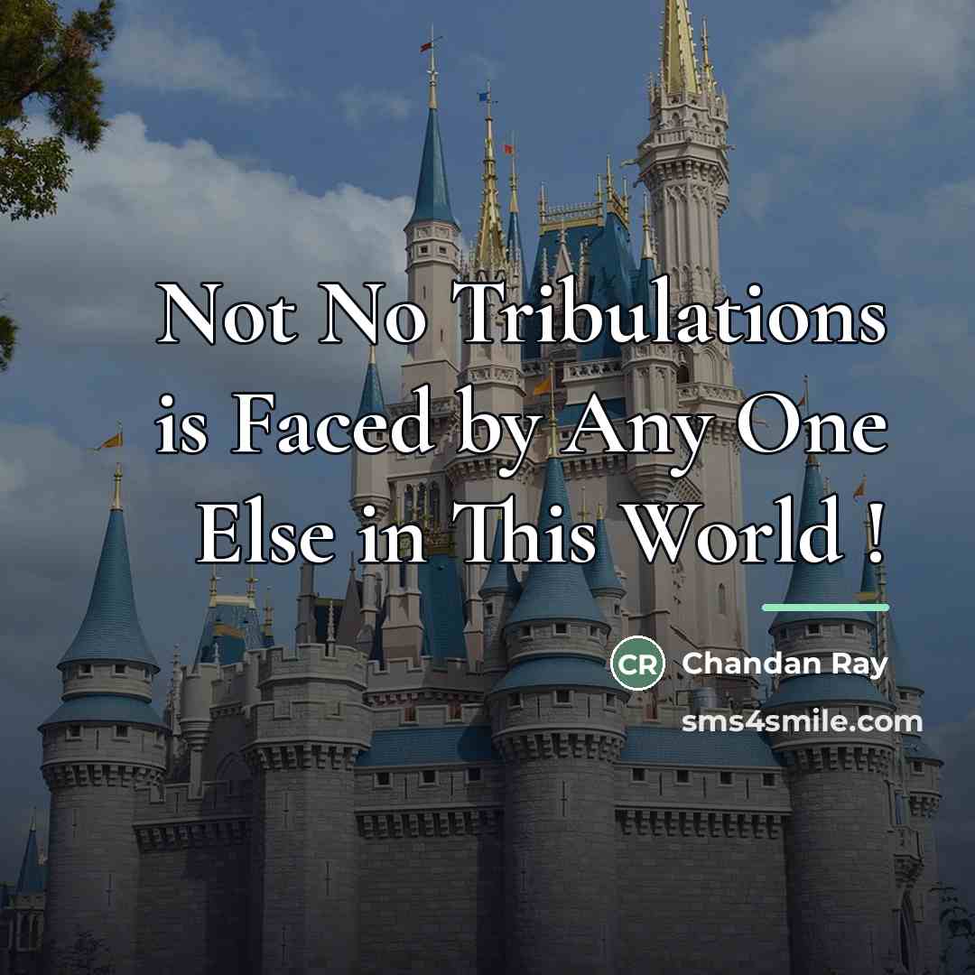 “Not No Tribulations is Faced by Any One Else in…” quote by Chandan Ray