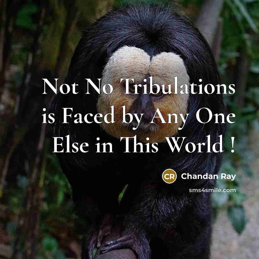 “Not No Tribulations is Faced by Any One Else in This World !” quote by Chandan Ray
