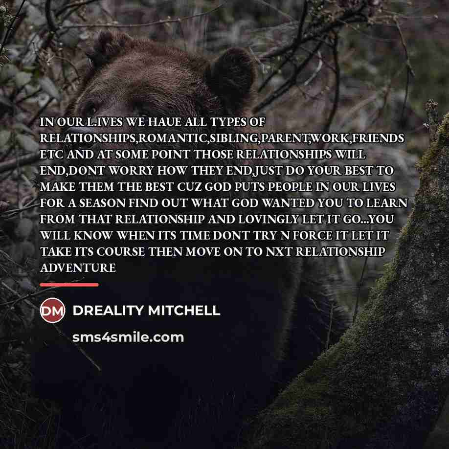 “IN OUR L.IVES WE HAUE ALL TYPES OF RELATIONSHIPS,ROMANTIC,SIBLING,PARENT,WORK,FRIENDS ETC…” quote by Dreality Mitchell