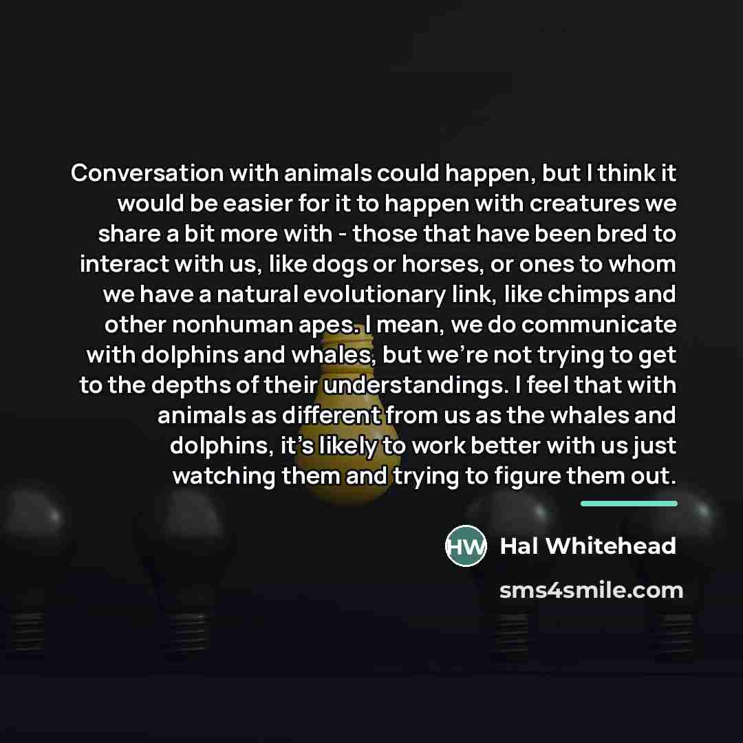 “Conversation with animals could happen, but I think it would…” quote by Hal Whitehead