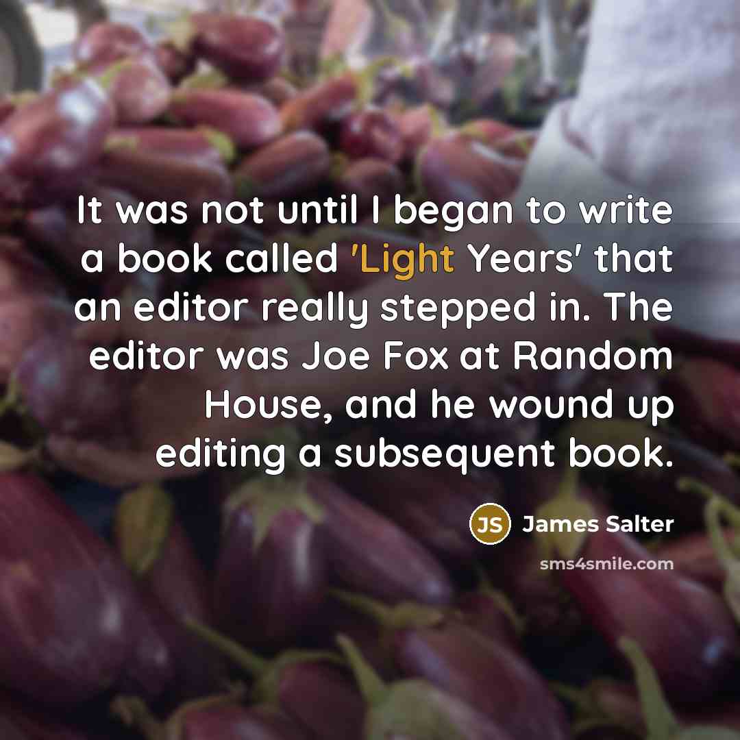 “It was not until I began to write a book…” quote by James Salter