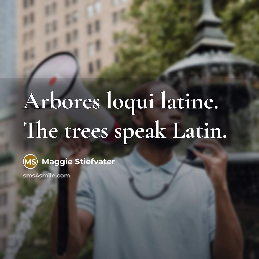 “Arbores loqui latine. The trees speak Latin.…” quote by Maggie Stiefvater
