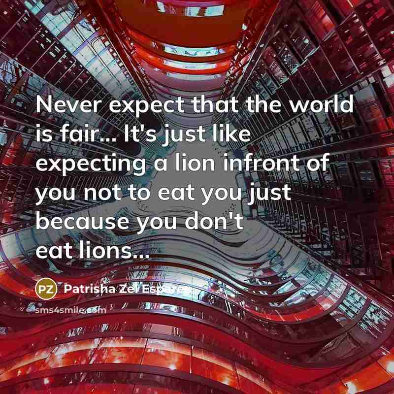 “Never expect that the world is fair... It's just like expecting a lion infront of you not to eat you just because you don't eat lions...” quote by Patrisha Zel Espares