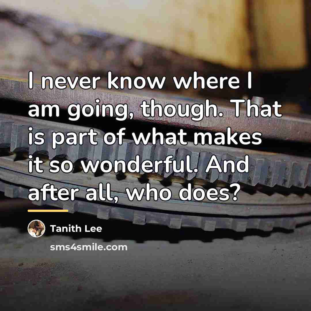 “I never know where I am going, though. That is…” quote by Tanith Lee