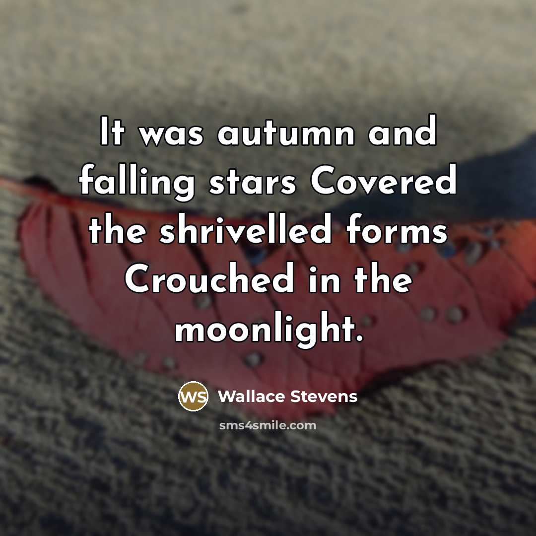 “It was autumn and falling stars Covered the shrivelled forms…” quote by Wallace Stevens