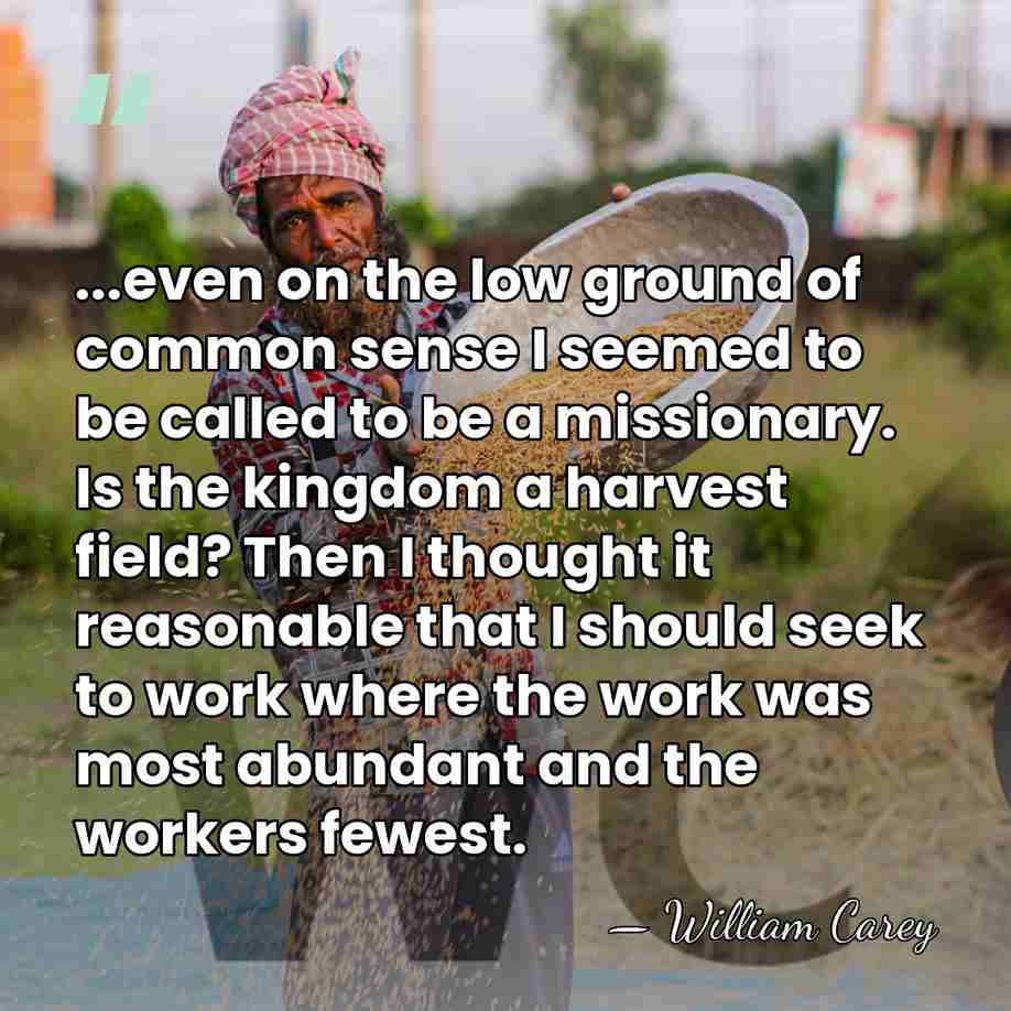 ...even on the low ground of common sense I seemed to be&hellip; - William Carey
