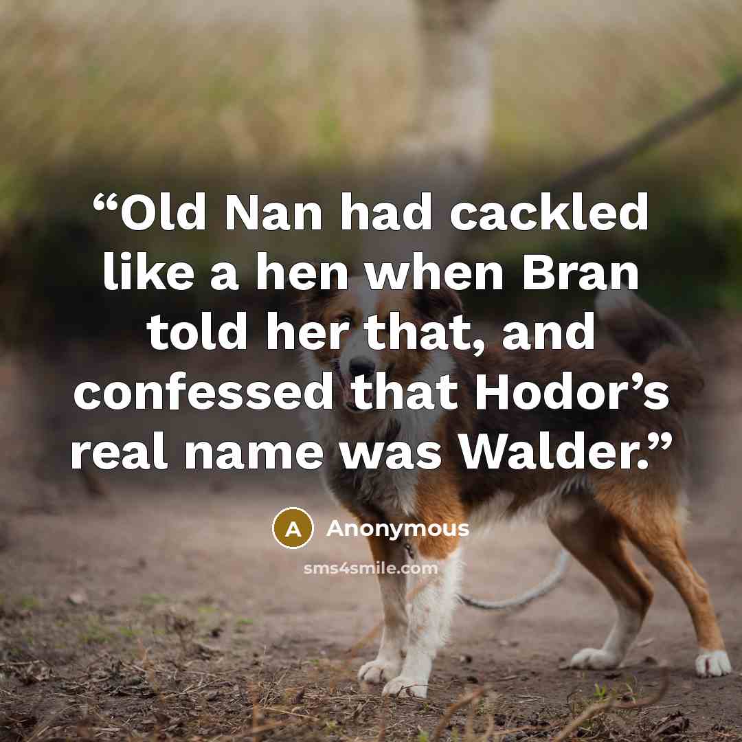 “Old Nan had cackled like a hen when Bran told her that, and confessed that Hodor’s real name was Walder.” quote by Anonymous