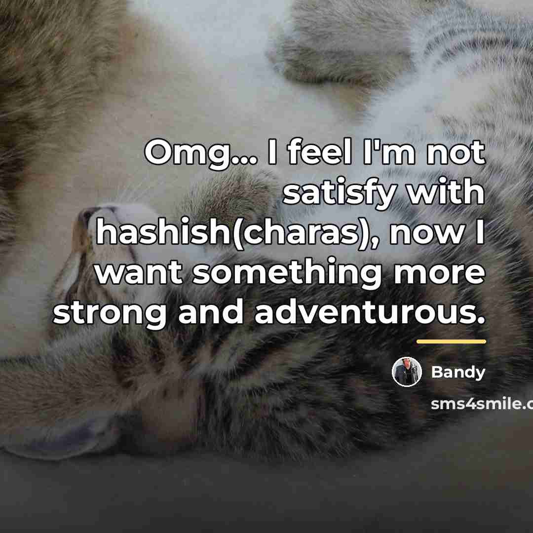 “Omg... I feel I'm not satisfy with hashish(charas), now I…” quote by Bandy