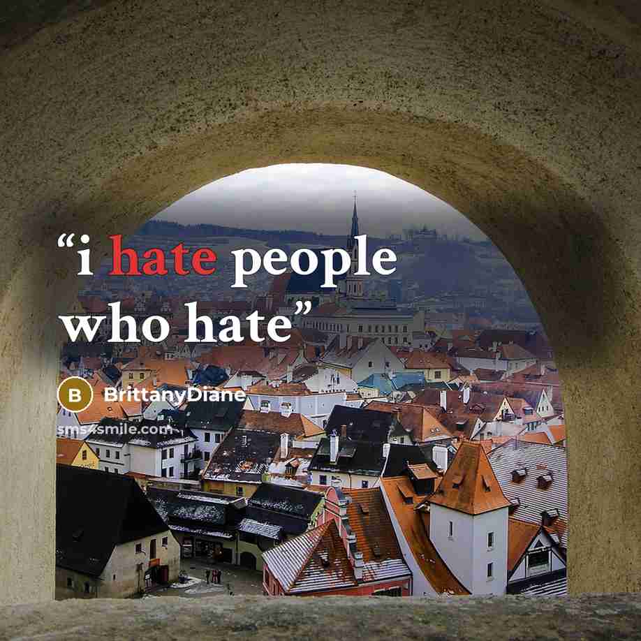 “i hate people who hate” quote by BrittanyDiane