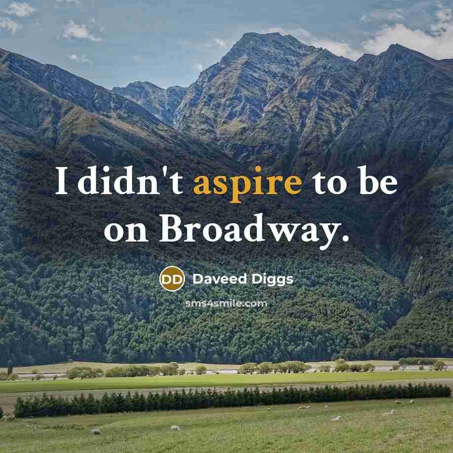 “I didn't aspire to be on Broadway.…” quote by Daveed Diggs