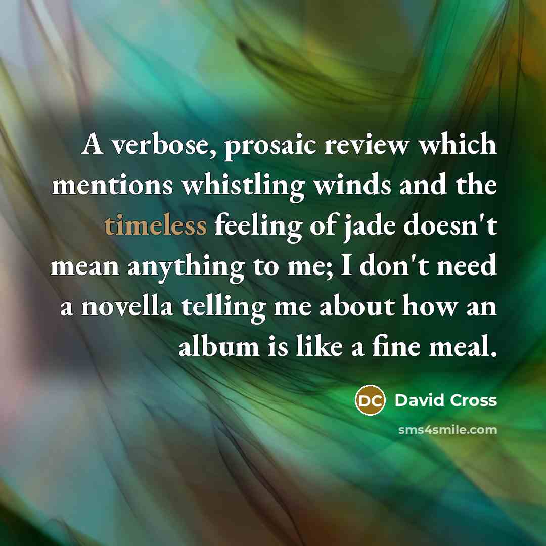 “A verbose, prosaic review which mentions whistling winds and the…” quote by David Cross