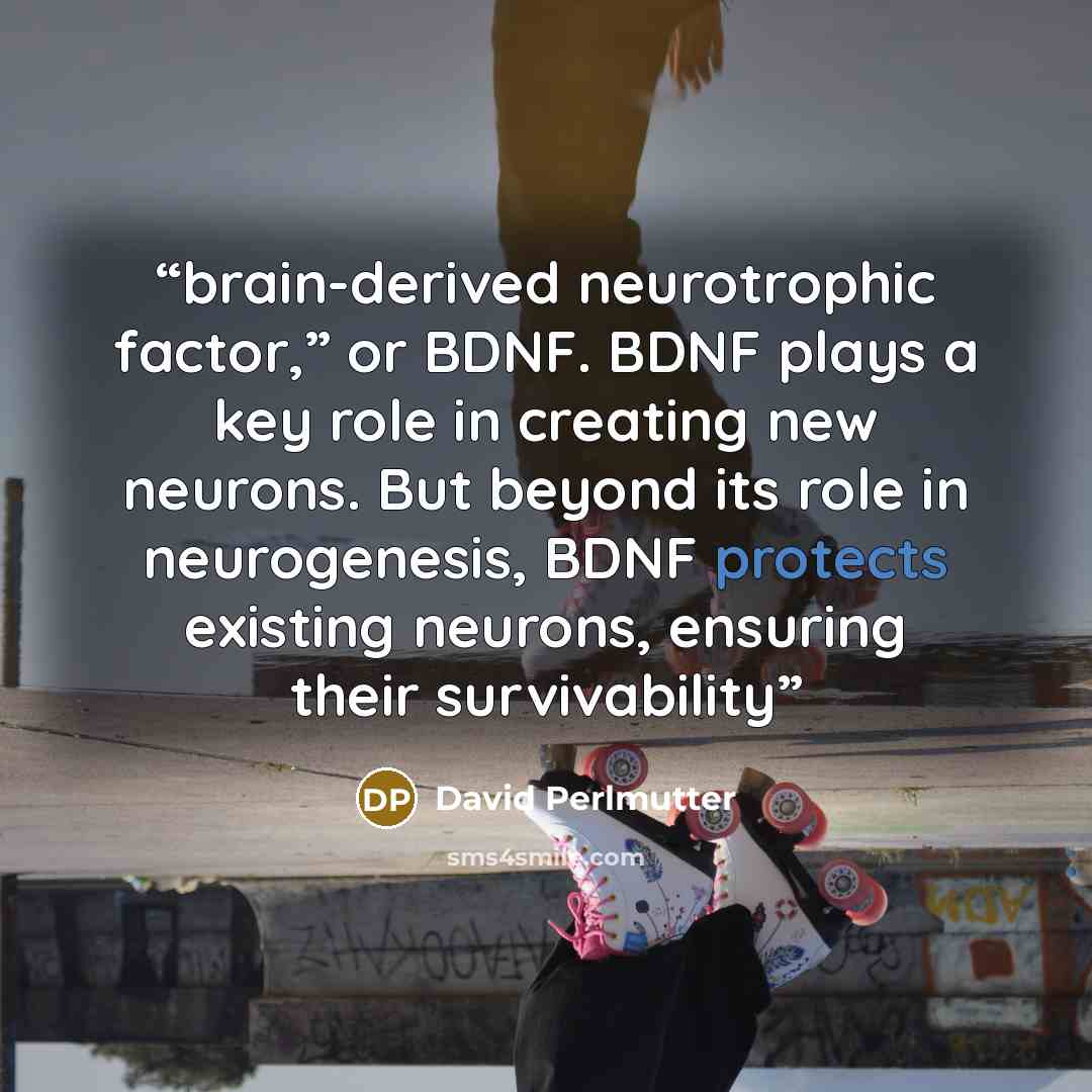 “brain-derived neurotrophic factor,” or BDNF. BDNF plays a key role in creating new neurons. But beyond its role in neurogenesis, BDNF protects existing neurons, ensuring their survivability” quote by David Perlmutter