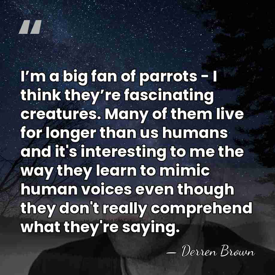 I’m a big fan of parrots - I think they’re fascinating creatures.&hellip; - Derren Brown