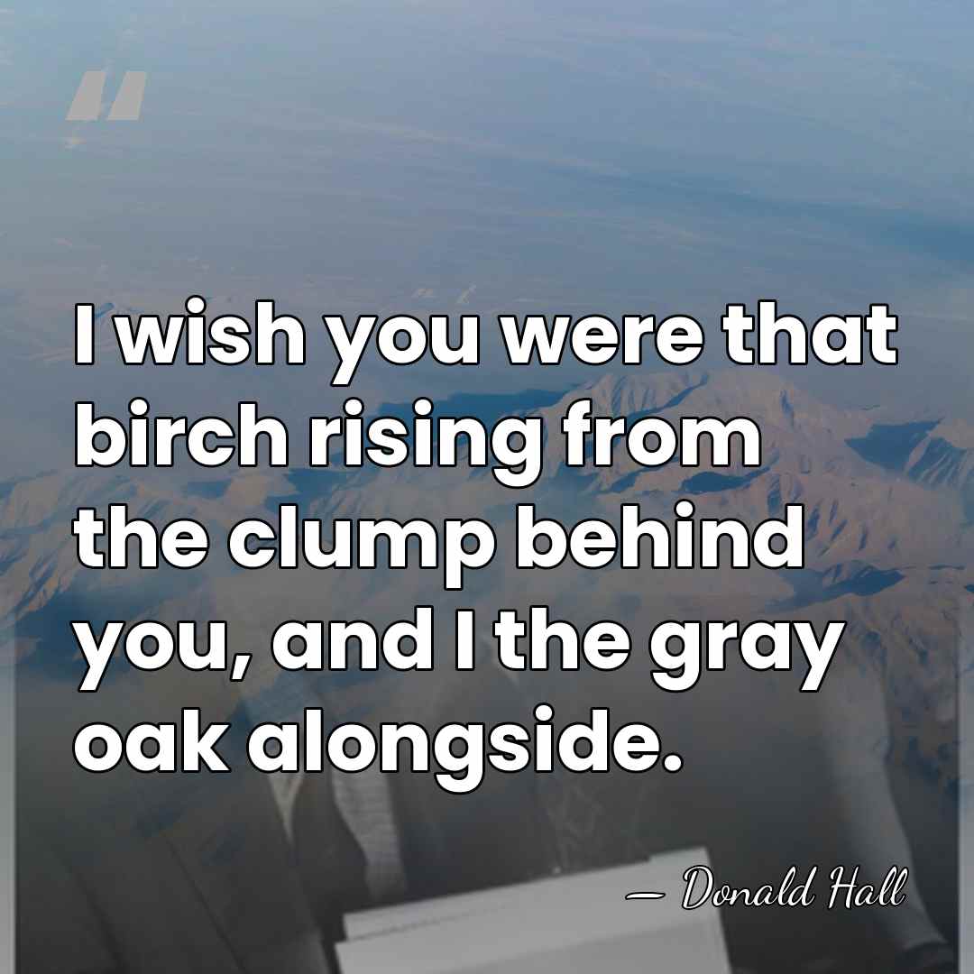 I wish you were that birch rising from the clump behind you,&hellip; - Donald Hall