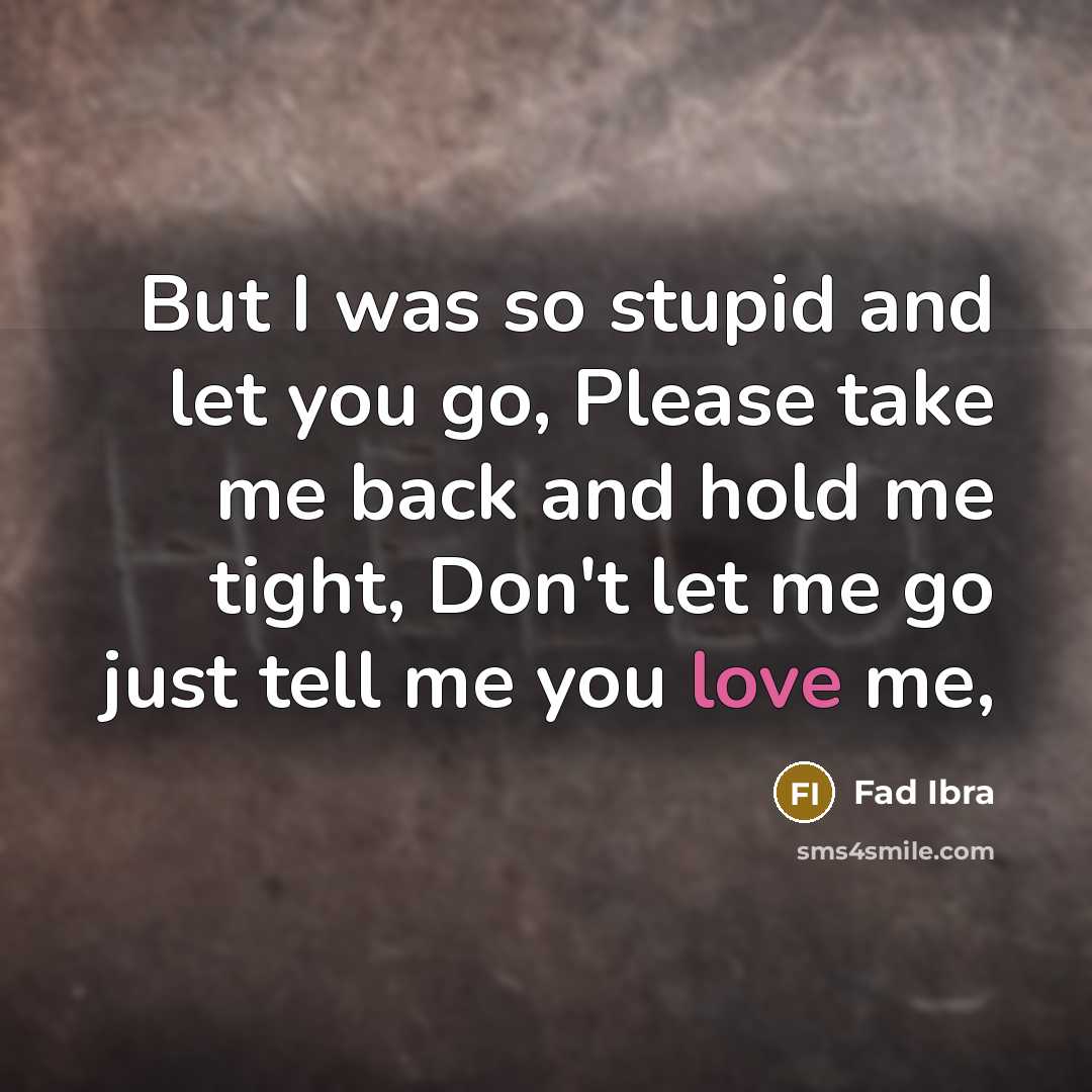 “But I was so stupid and let you go, Please take me back and hold me tight, Don't let me go just tell me you love me,” quote by Fad Ibra