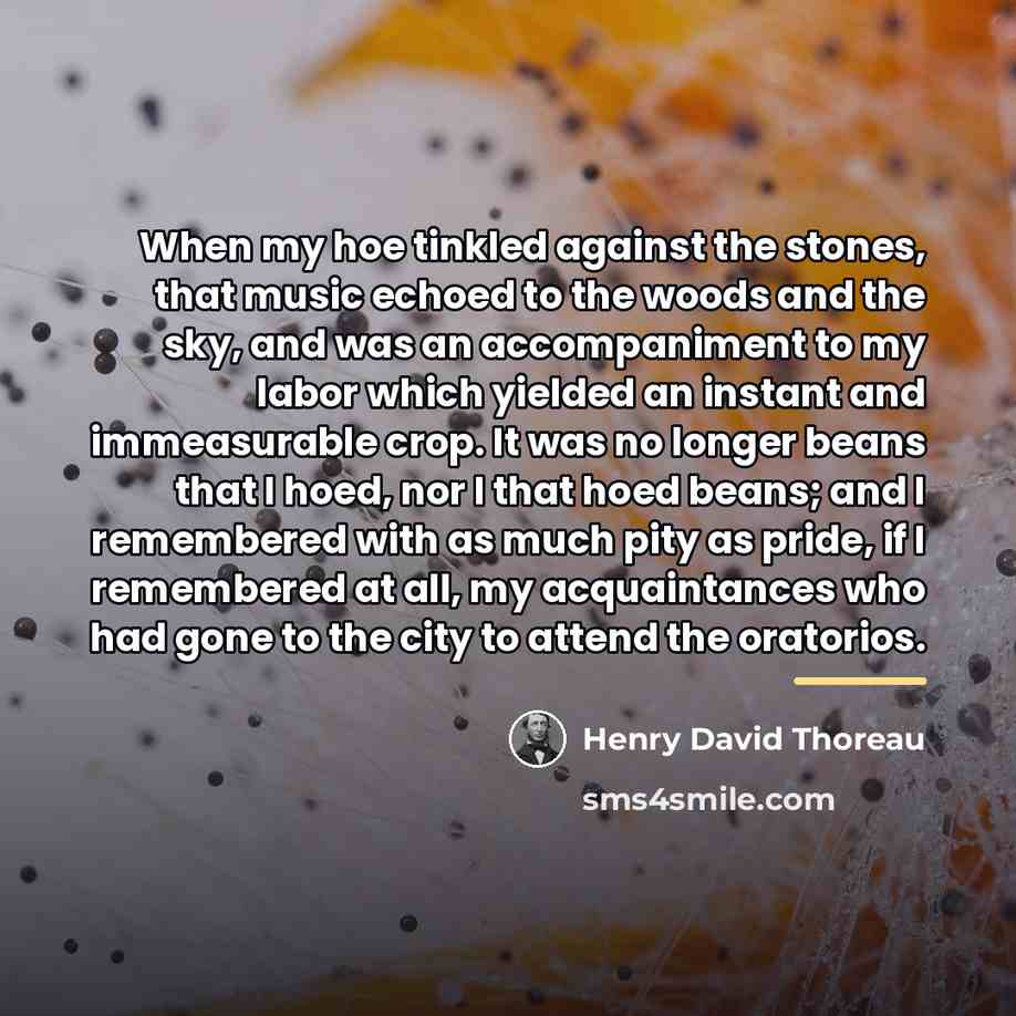 “When my hoe tinkled against the stones, that music echoed…” quote by Henry David Thoreau