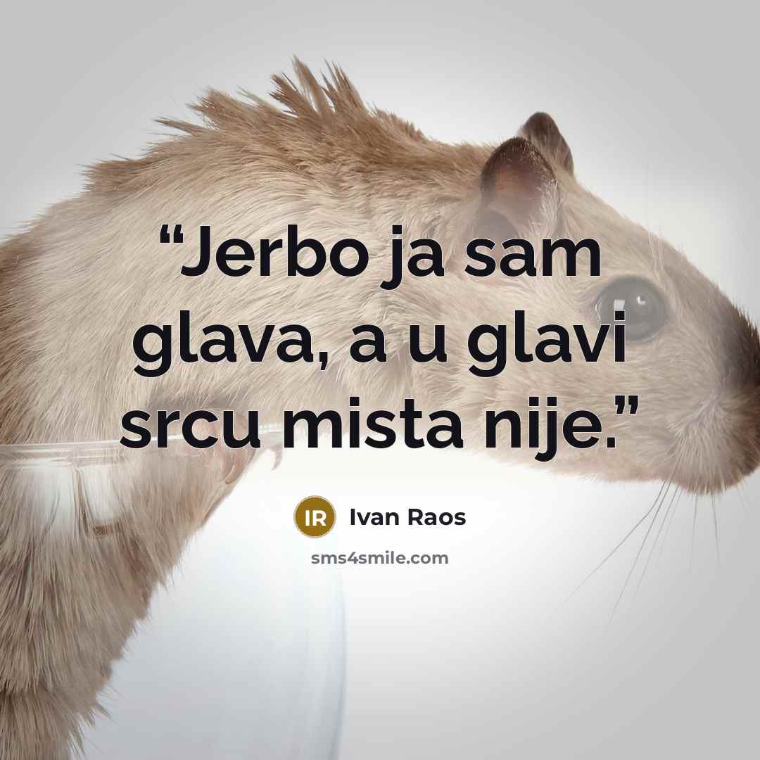 “Jerbo ja sam glava, a u glavi srcu mista nije.” quote by Ivan Raos