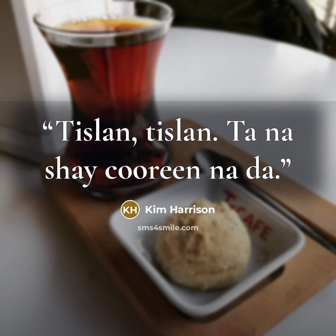 “Tislan, tislan. Ta na shay cooreen na da.” quote by Kim Harrison