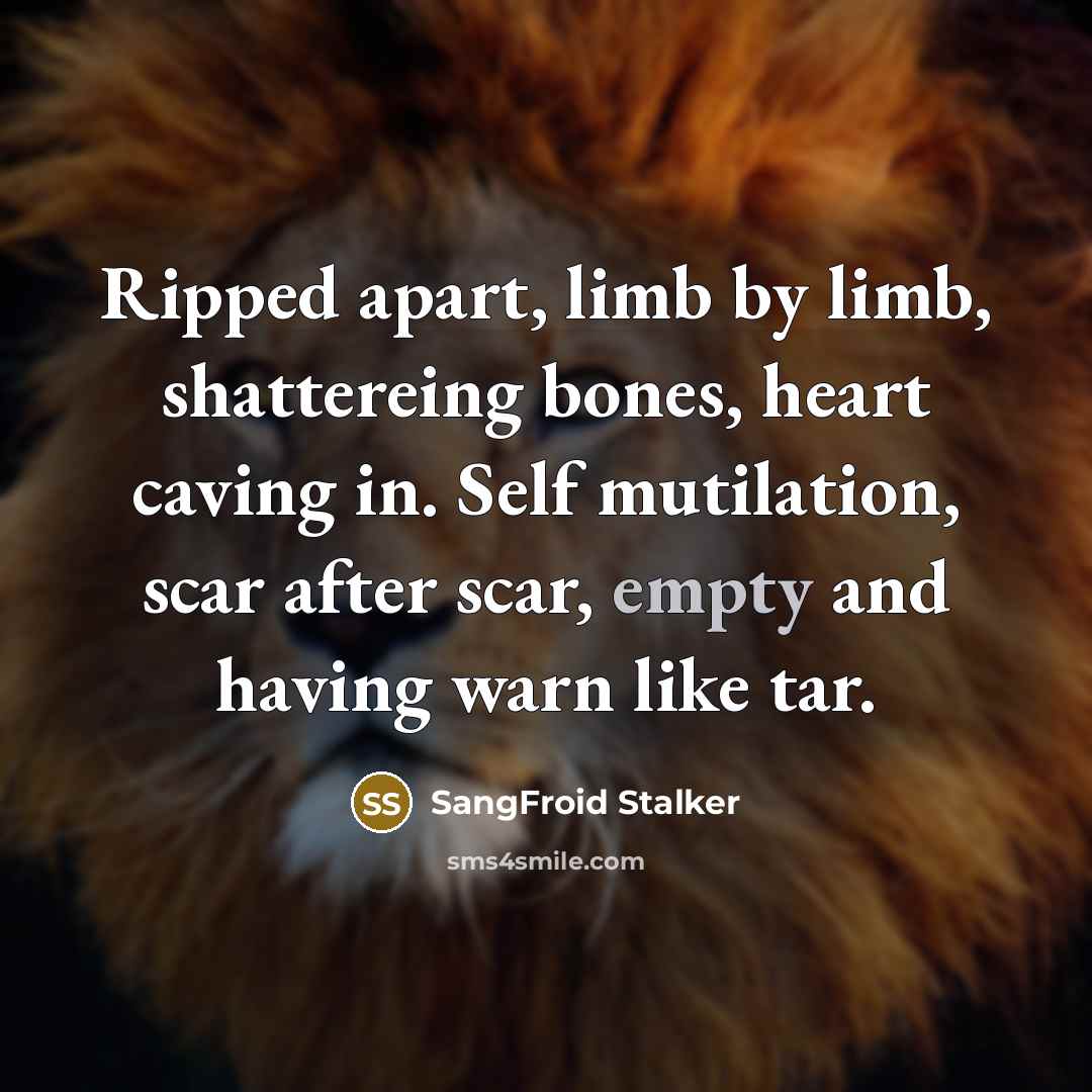 “Ripped apart, limb by limb, shattereing bones, heart caving in.…” quote by SangFroid Stalker