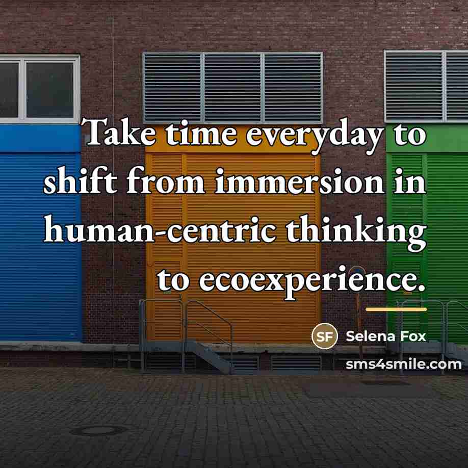 “Take time everyday to shift from immersion in human-centric thinking…” quote by Selena Fox