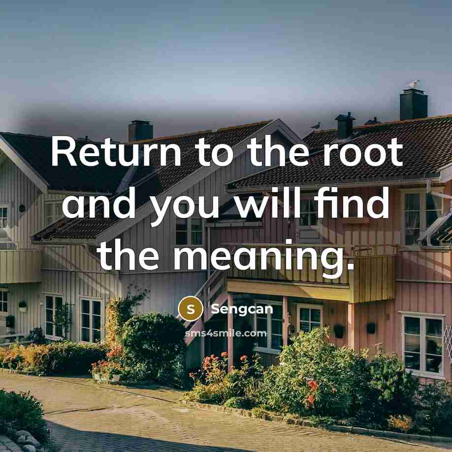 “Return to the root and you will find the meaning.…” quote by Sengcan