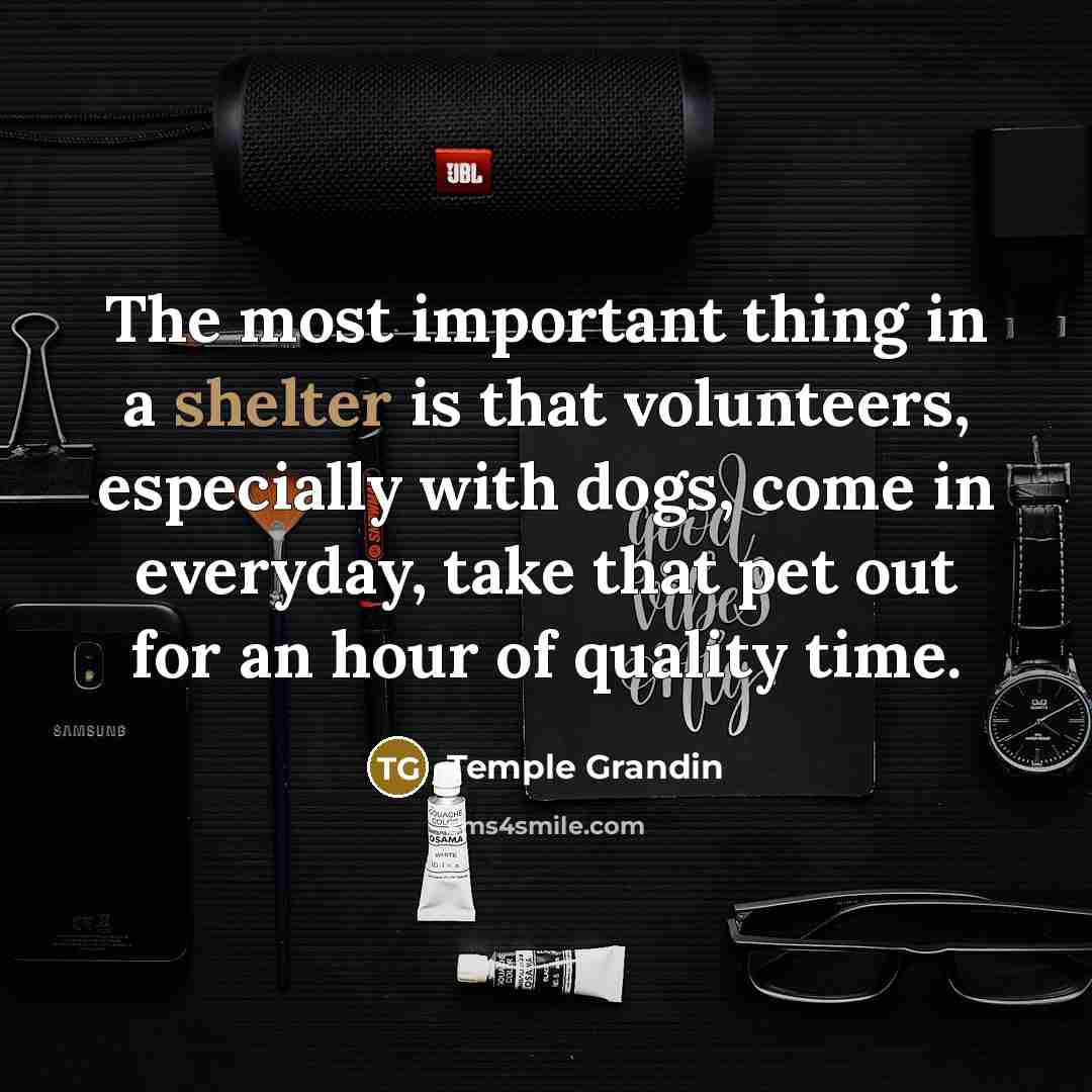 “The most important thing in a shelter is that volunteers,…” quote by Temple Grandin