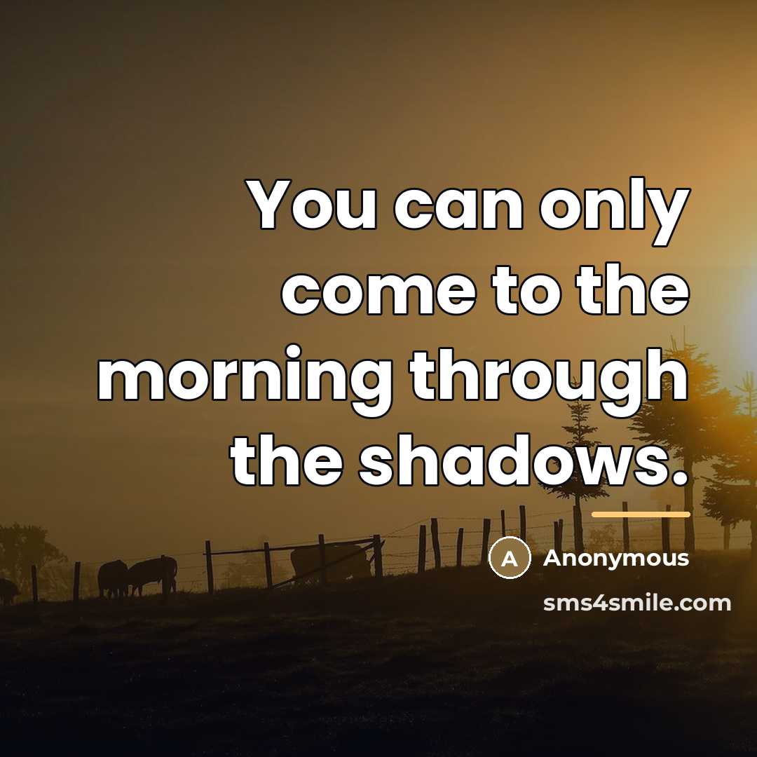 “You can only come to the morning through the shadows.…” quote by Anonymous