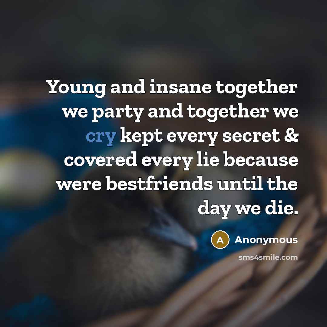 “Young and insane together we party and together we cry…” quote by Anonymous