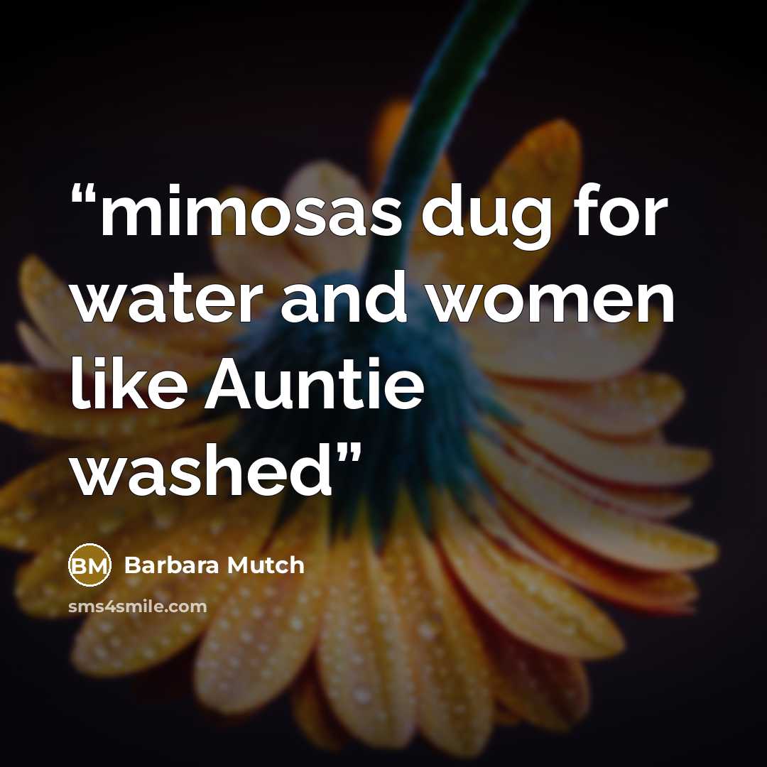 “mimosas dug for water and women like Auntie washed” quote by Barbara Mutch