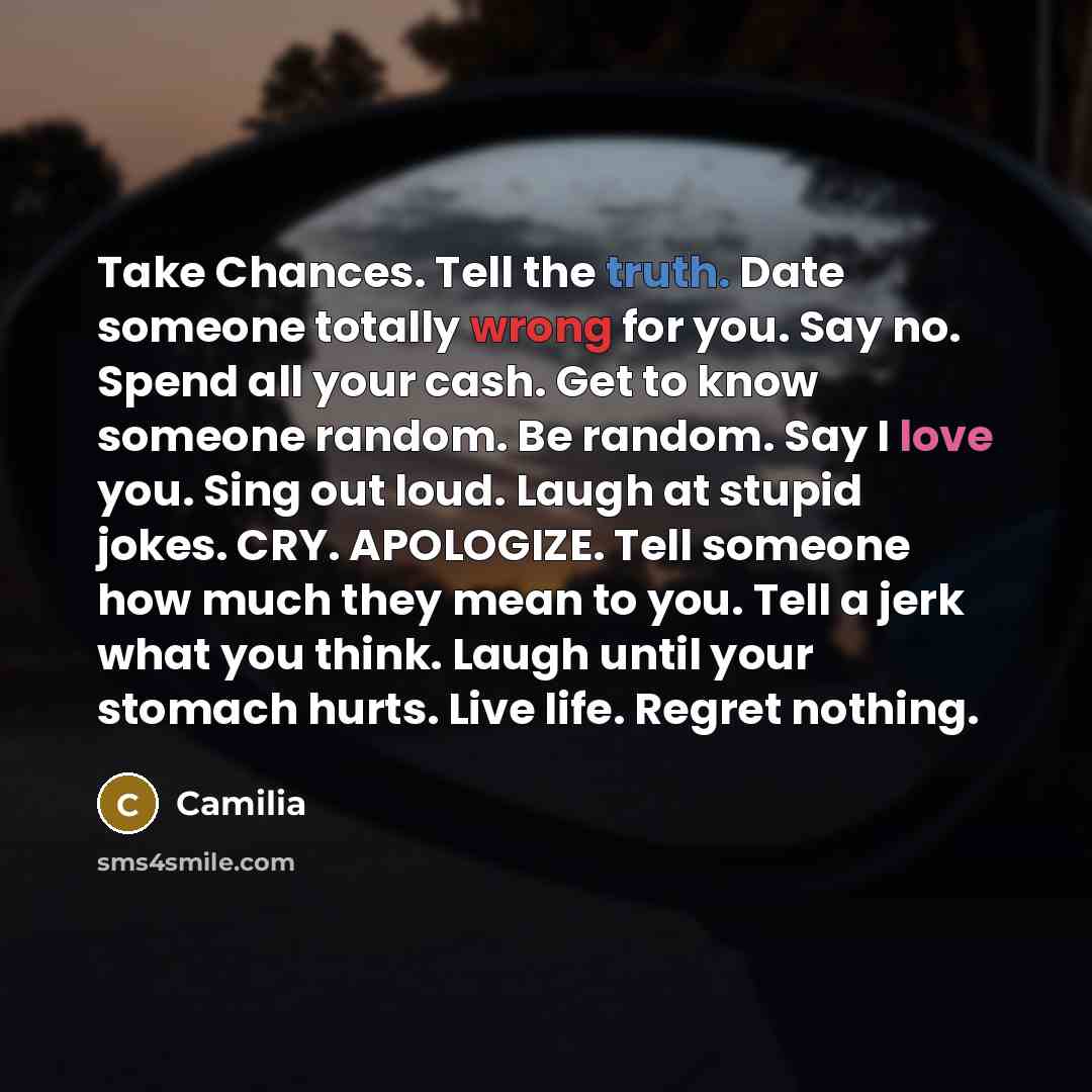 “Take Chances. Tell the truth. Date someone totally wrong for…” quote by Camilia
