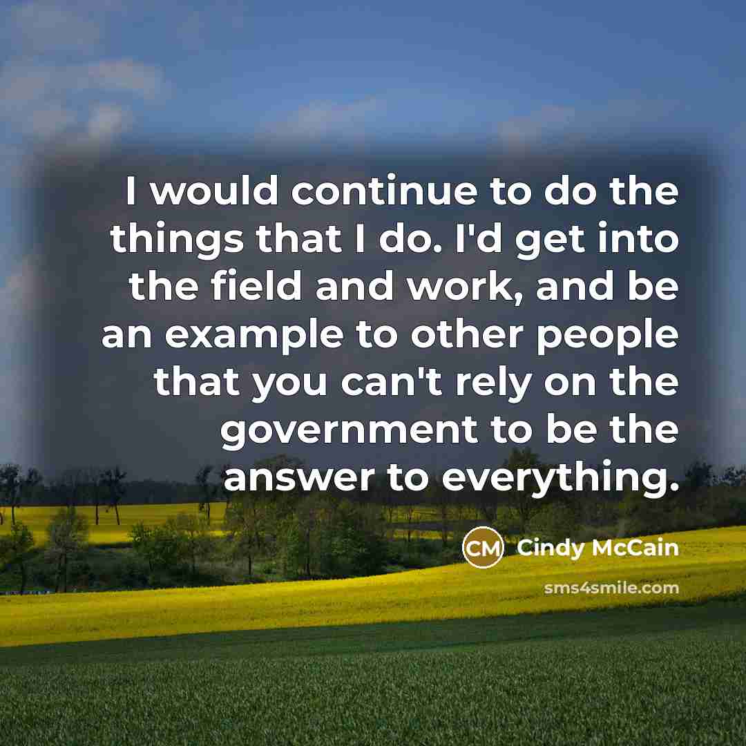 “I would continue to do the things that I do.…” quote by Cindy McCain