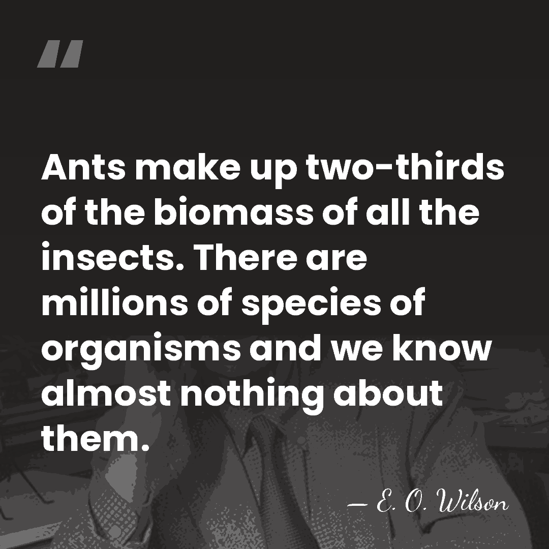 Ants make up two-thirds of the biomass of all the insects. There&hellip; - E. O. Wilson
