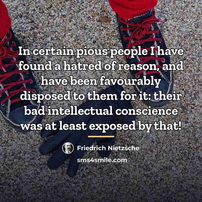 “In certain pious people I have found a hatred of…” quote by Friedrich Nietzsche