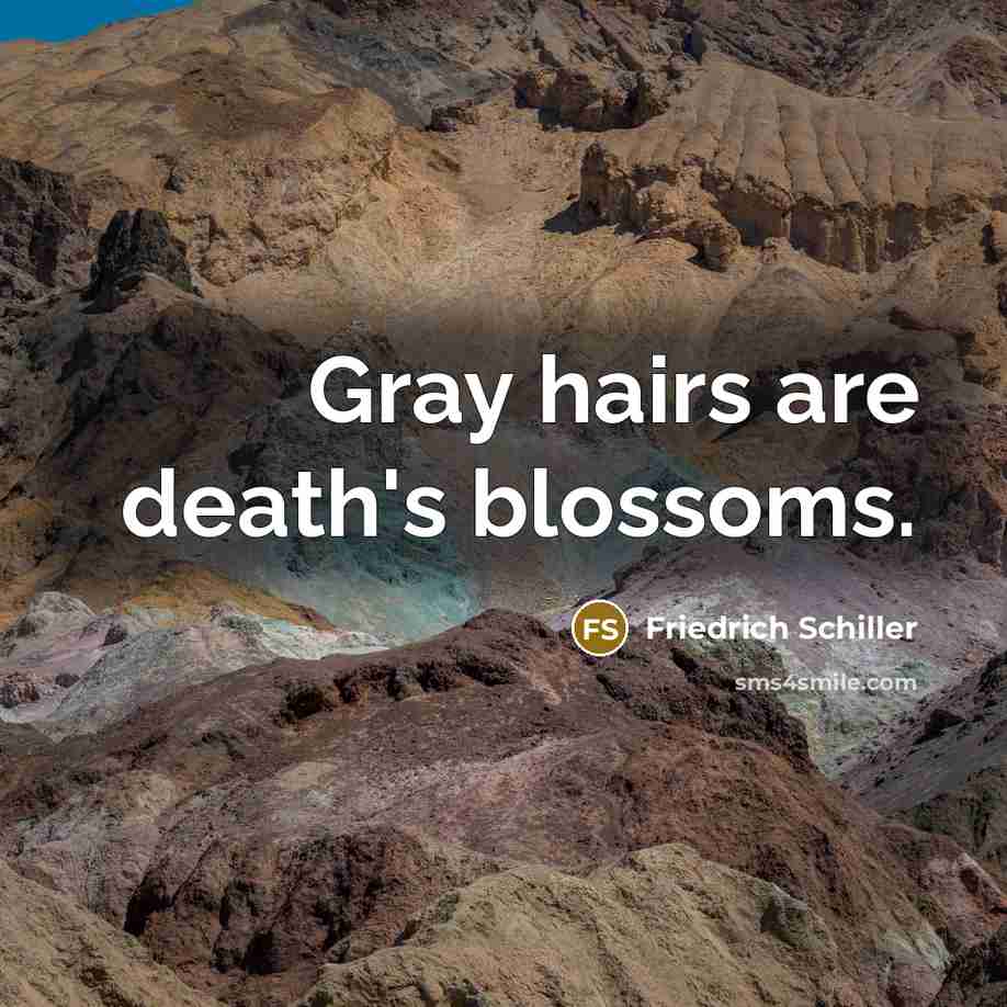 “Gray hairs are death's blossoms.…” quote by Friedrich Schiller