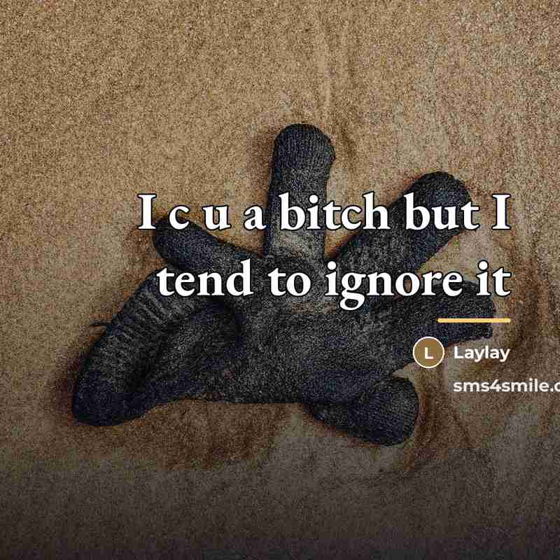 “I c u a bitch but I tend to ignore…” quote by Laylay