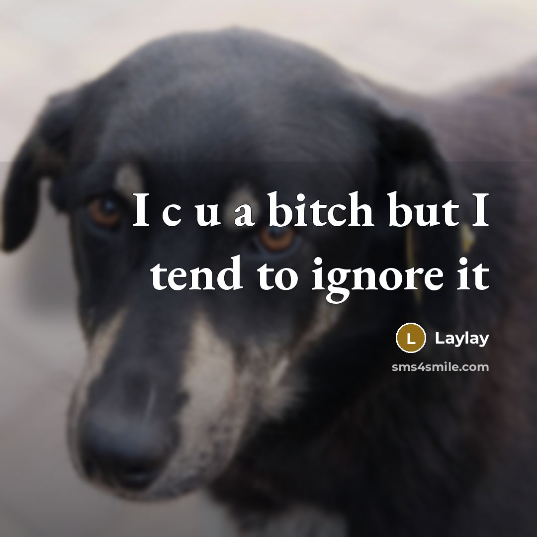 “I c u a bitch but I tend to ignore it” quote by Laylay