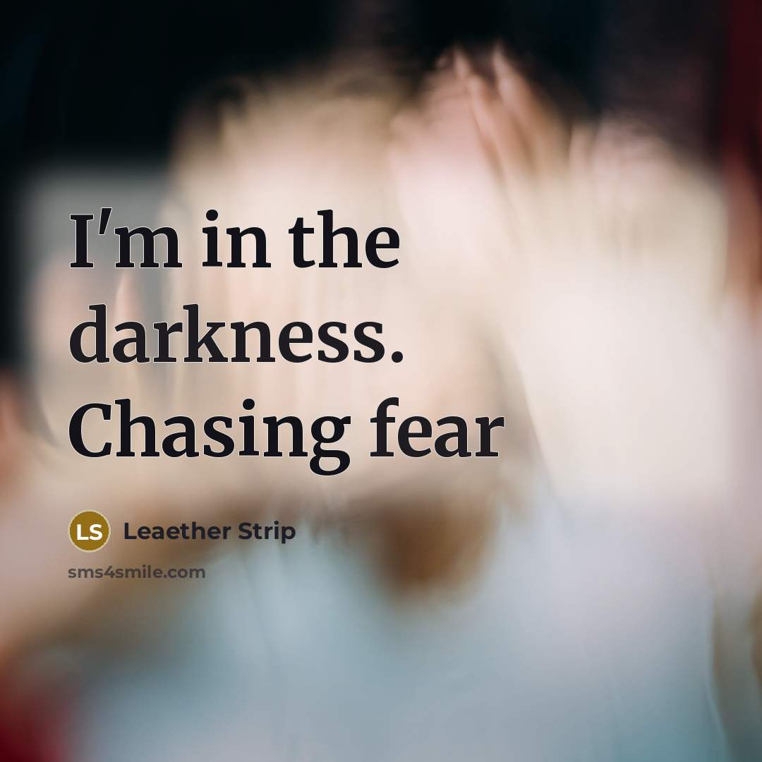 “I'm in the darkness. Chasing fear” quote by Leaether Strip