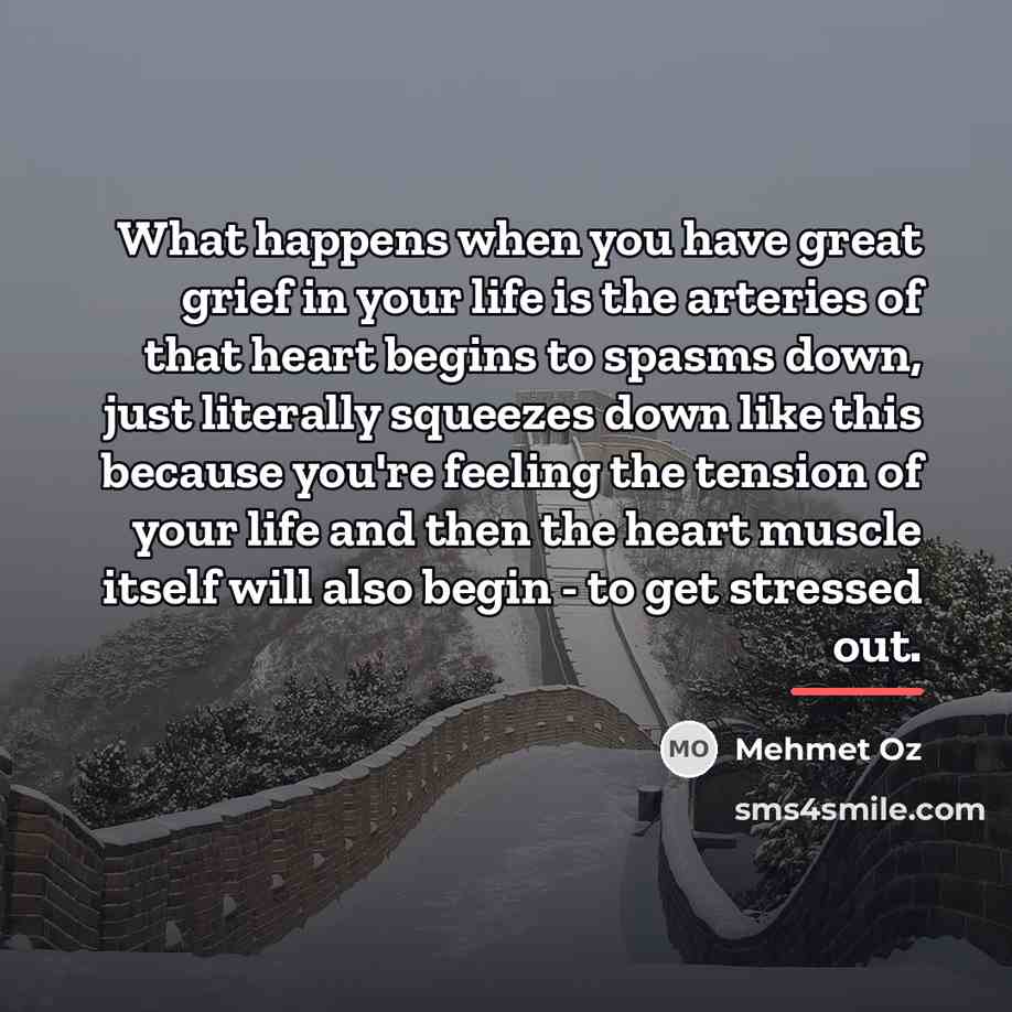 “What happens when you have great grief in your life…” quote by Mehmet Oz