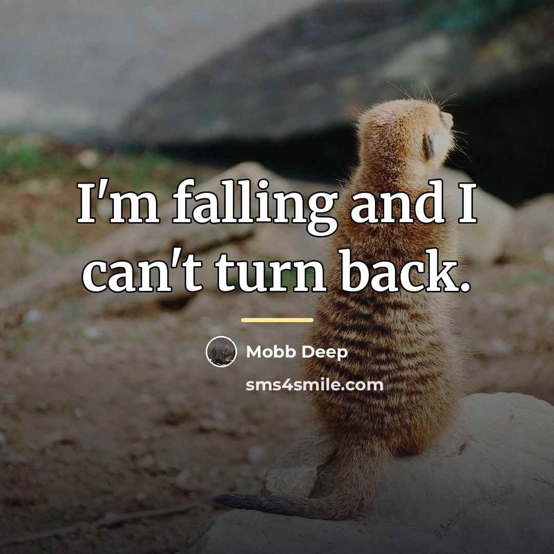 “I'm falling and I can't turn back.…” quote by Mobb Deep