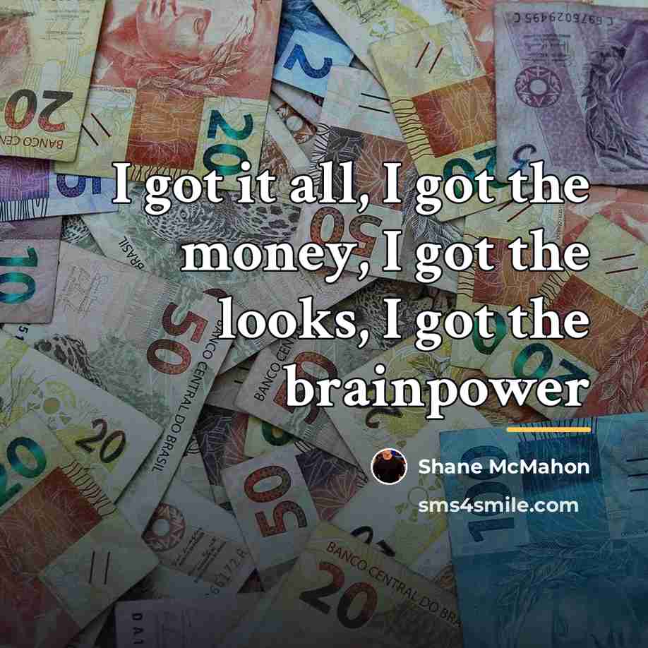 “I got it all, I got the money, I got…” quote by Shane McMahon