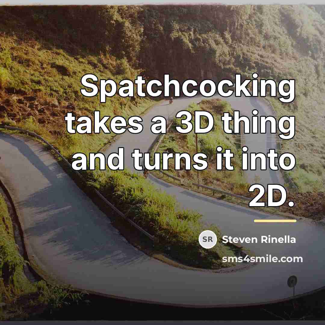 “Spatchcocking takes a 3D thing and turns it into 2D.…” quote by Steven Rinella
