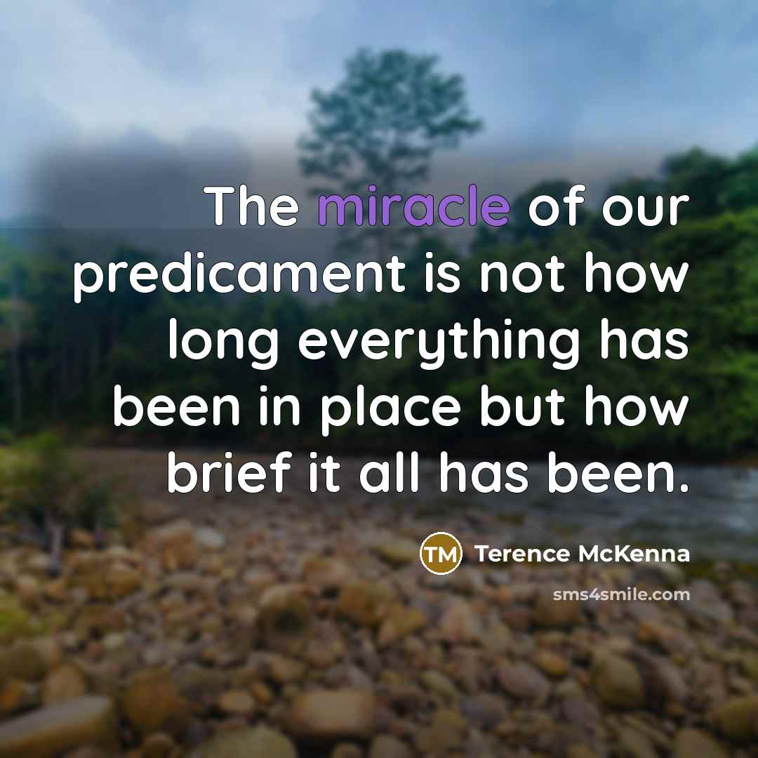 “The miracle of our predicament is not how long everything has been in place but how brief it all has been.” quote by Terence McKenna
