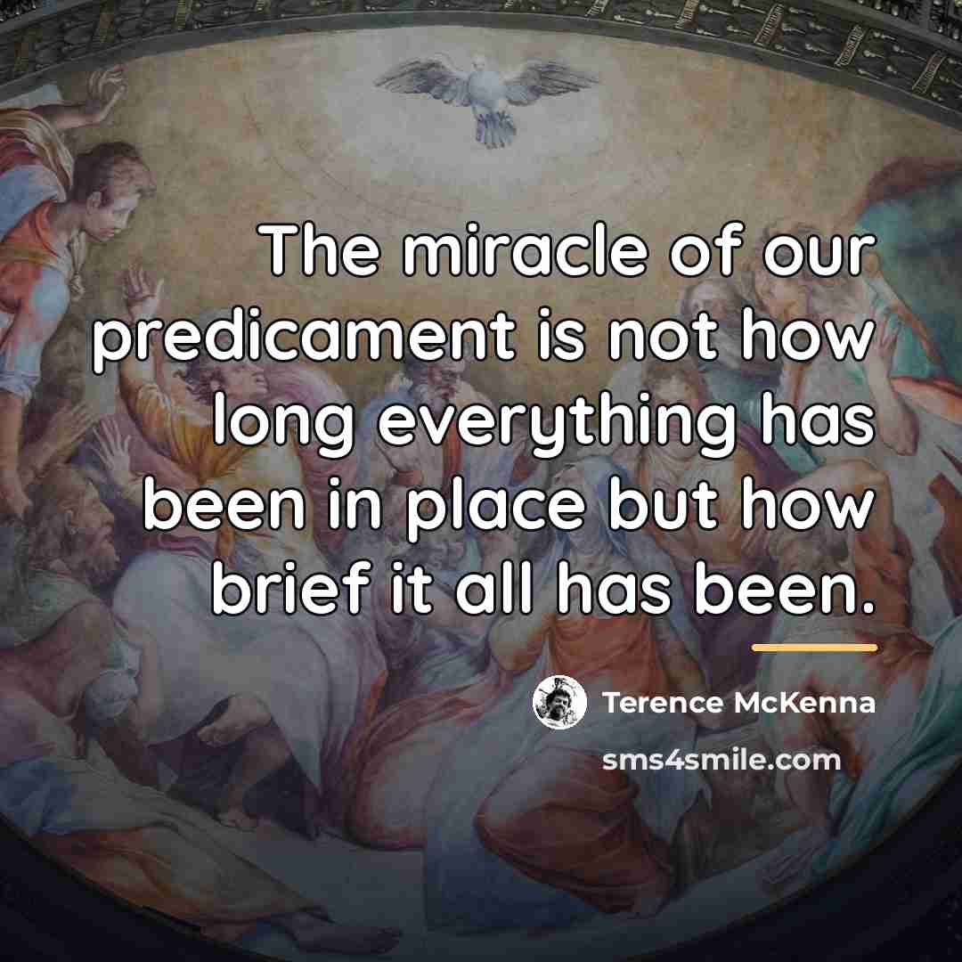 “The miracle of our predicament is not how long everything…” quote by Terence McKenna