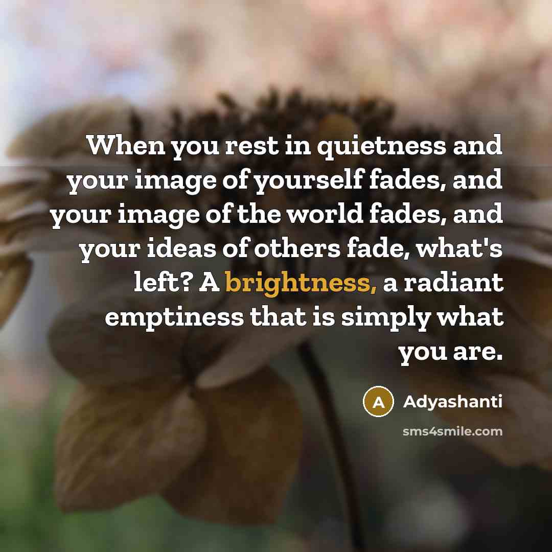 “When you rest in quietness and your image of yourself…” quote by Adyashanti