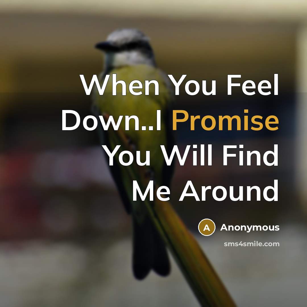 “When You Feel Down..I Promise You Will Find Me Around…” quote by Anonymous