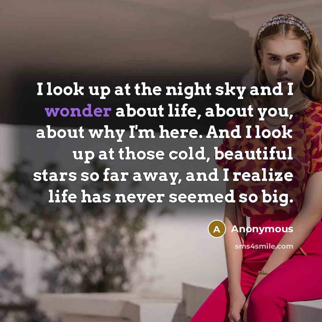 “I look up at the night sky and I wonder…” quote by Anonymous