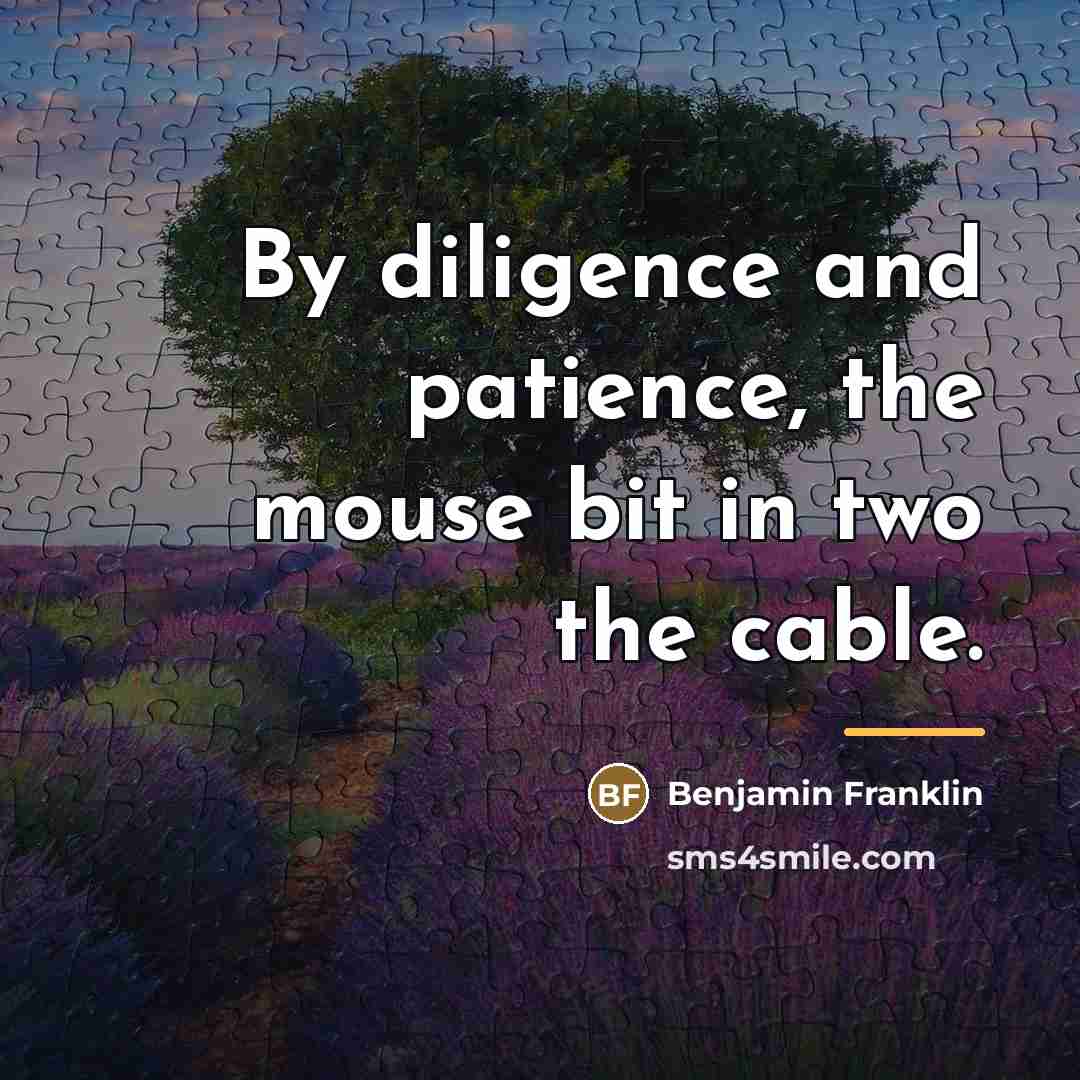 “By diligence and patience, the mouse bit in two the…” quote by Benjamin Franklin