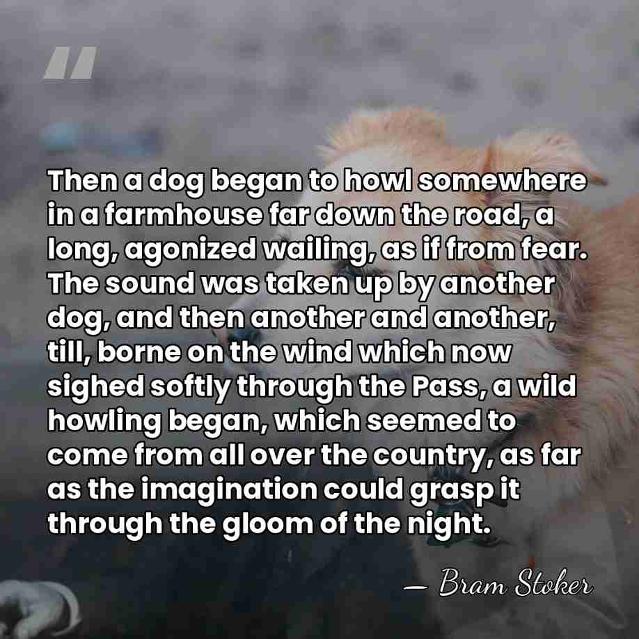 Then a dog began to howl somewhere in a farmhouse far down&hellip; - Bram Stoker