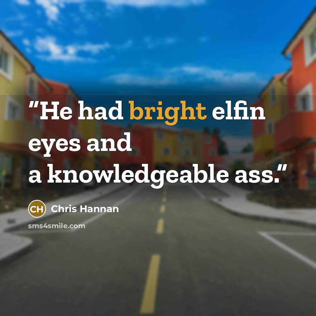 “He had bright elfin eyes and a knowledgeable ass.” quote by Chris Hannan