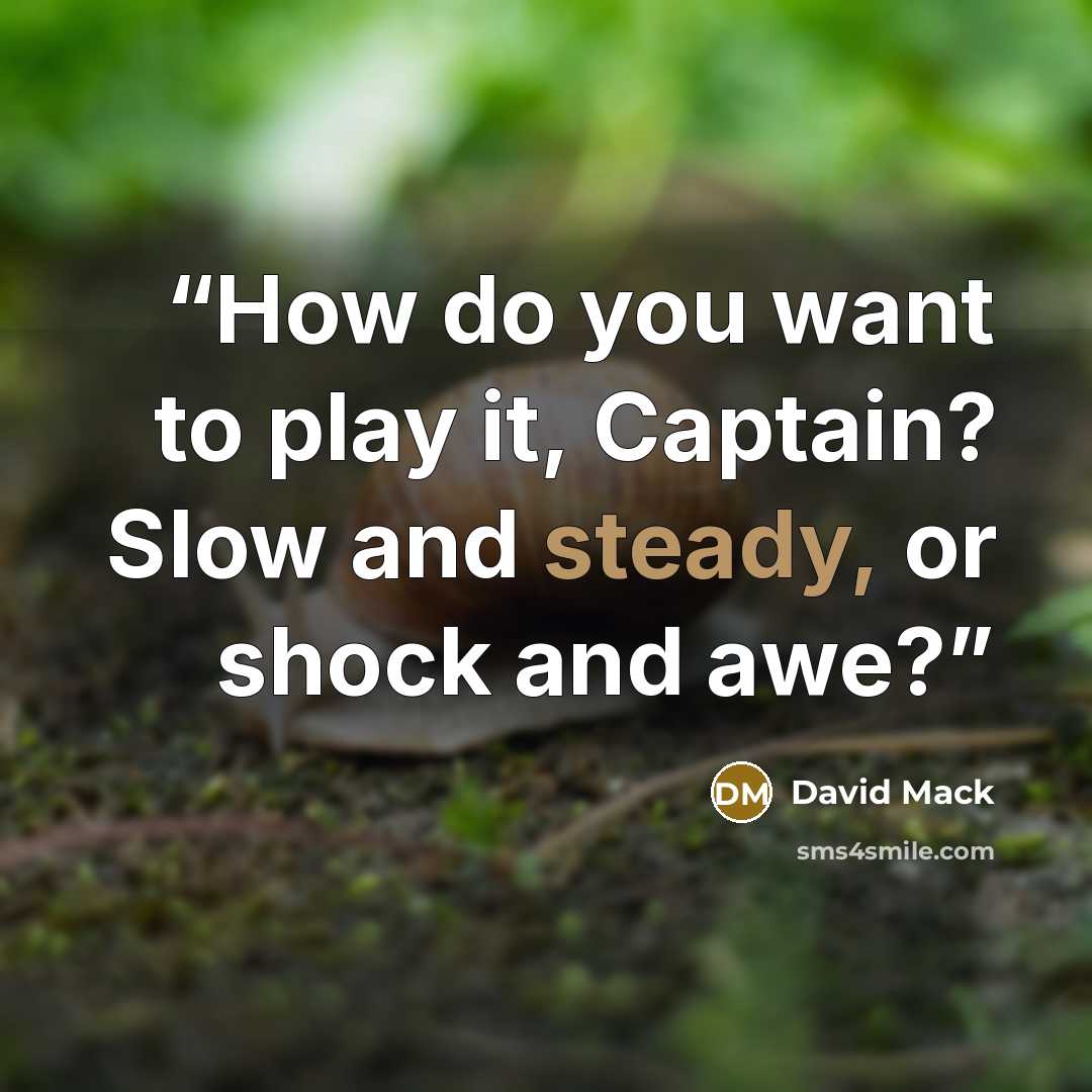 “How do you want to play it, Captain? Slow and steady, or shock and awe?” quote by David Mack